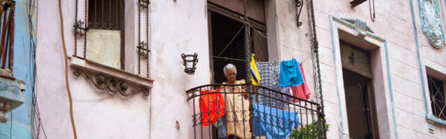 "Napravio nam je pakao!" Čovek uzgajao povrće na terasi, komšije prijavile sve sudu, a onda je otkrivena šok stvar!