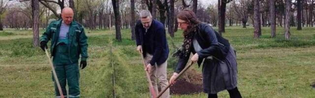 Садња десет кедрова на Новом Београду у оквиру еколошке акције