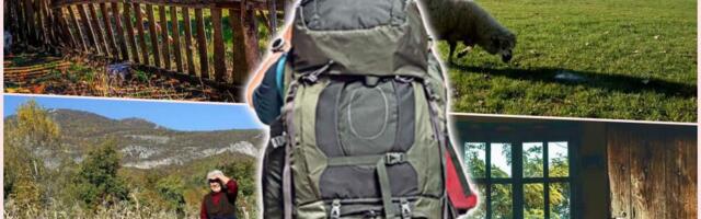 MITAR IZUČIO ZA INŽENJERA PA SEO, IZRAČUNAO I PRAVAC KUĆI - NA SELO: Plaćao sam stan i hranu i shvatio da mi se to ne isplati! Sad dobro zarađuje, evo šta radi