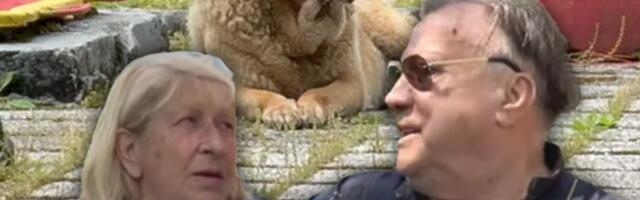 Tužna scena ispred Halidovog motela! Porodični pas zavija na dan Sejdine sahrane, leži nepomično