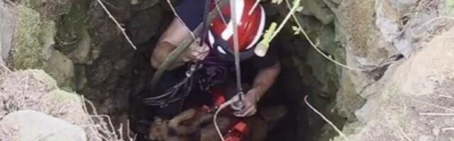 Humanost vatrogasca na delu: Spasili kozu iz bunara (VIDEO)