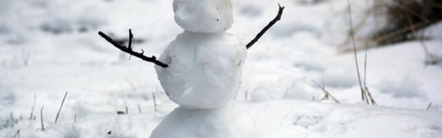 Nesvakidašnja fotka iz Banata nasmejala sve: "Ovog Sneška malo koji će moći da nadmaši po originalnosti"