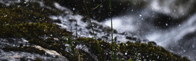 Регион: од јутрос топлије, очекује се киша