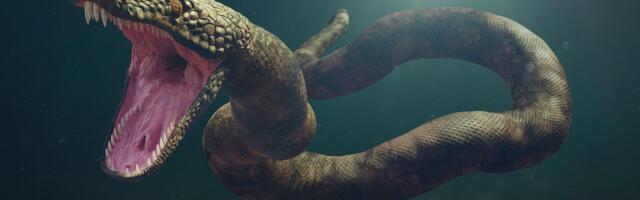 Naučnici pronašli čudovišnu zmiju od 15 metara, ruši sve rekorde: Titanoboa konačno nadmašena?!