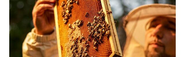 AikBank uvodi novu logiku štednje: Oročeno, profitabilno i dostupno kad god zatreba