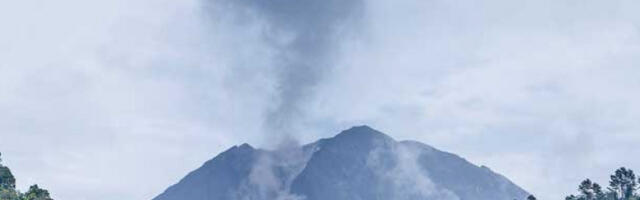 Пандемију бубонске куге изазвала ерупција вулкана