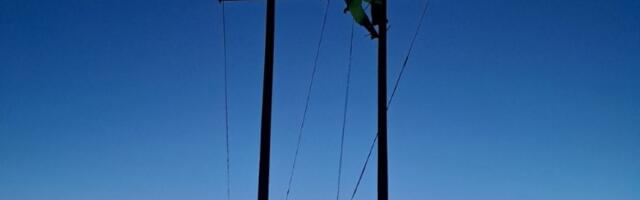 Elekstrodistribucija Srbije: Majdanpek tokom dana dobija električnu energiju