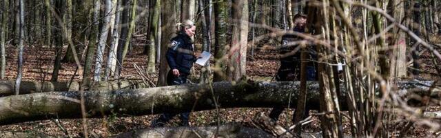 Drvo palo na grupu planinara u Švajcarskoj: Jedna osoba stradala, dete povređeno