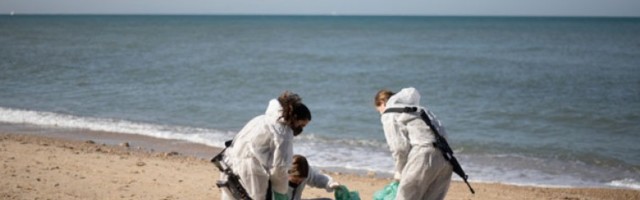Мајонез лек за корњаче угрожене изливањем нафте крај обале Израела