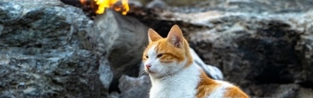 Himaera - ovaj nepoznati fenomen fascinira turiste, a ono što ovo mesto može da pruži to nigde na svetu nema!