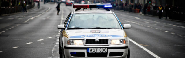 SVE KOPIJE POZNATIH BRENDOVA Policija pronašla 5.000 pari luksuznih cipela