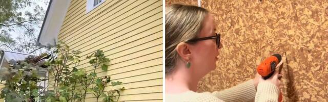 Uselila se i primetila nešto čudno: Prozor koji niko ne može da pronađe iznutra odlučila je da istraži