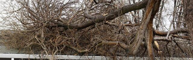 Poplave i klizišta u Kaliforniji, ima poginulih: Oko 100.000 ljudi bez struje, vanredno stanje u Los Anđelesu