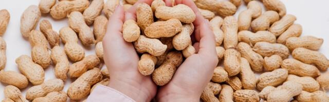 Kikiriki nije orah, već mahunarka: Evo kako način pripreme menja njegov ukus i nutritivnu vrednost