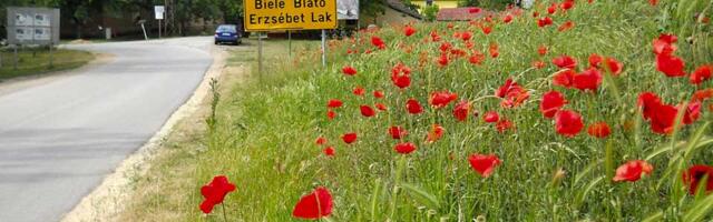 Za ponedeljak najavljena isključenja struje u Belom Blatu