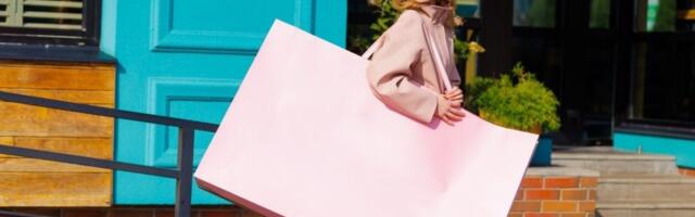 Za ove pare možete da kupite kompletno novu kuhinju: Tasna koja je nova opsesija devojaka (VIDEO)