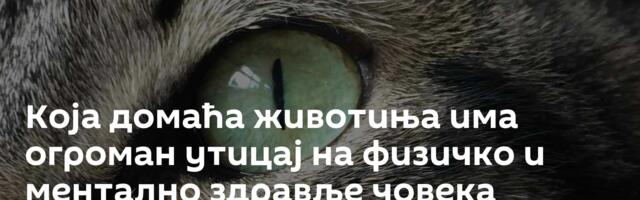 Која домаћа животиња има огроман утицај на физичко и ментално здравље човека