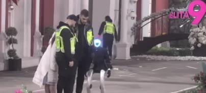 MILJANA NAPALA ROBOTA TOŠU, RAZDVAJA IH OBEZBEĐENJE! Neverovatna scena u Eliti, Kulićka vrištala na sav glas: Poslali su te...