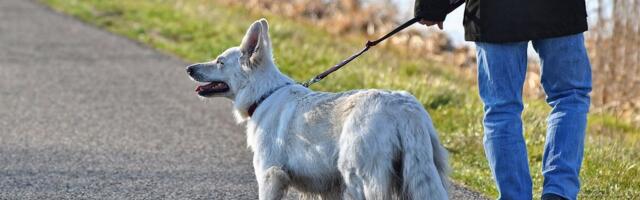 Zarađuje HILJADE EVRA, a bavi se poslom kog se niko ranije nije setio: "Klijenti me stalno traže"