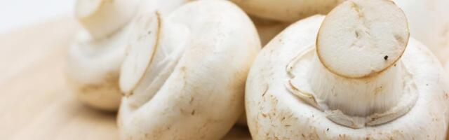 Kako za 10 sekundi proveriti svežinu šampinjona: 3 znaka odmah ukazuju da ne treba da ih kupite