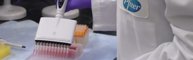 Fajzer privremeno smanjuje Evropi isporuku vakcina