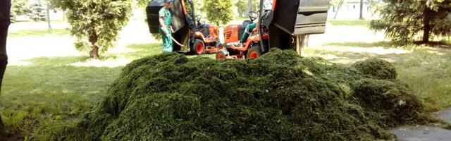 JKP Mediana: Popravka mobilijara, postavljanje korpi…