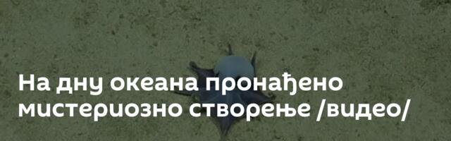 На дну океана пронађено мистериозно створење /видео/