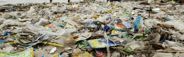 Naučnici povezali pojavu koronavirusa i eksploataciju prirode