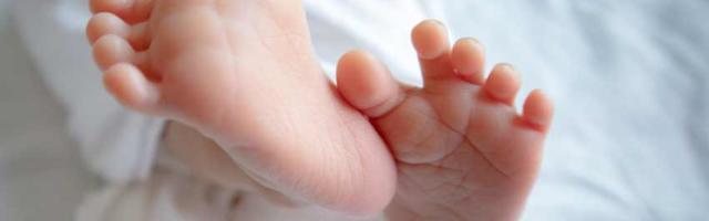 Običan petak u Novom Sadu: Rođeno 29 beba, preminulo 78 Novosađana, a 11 parova venčano