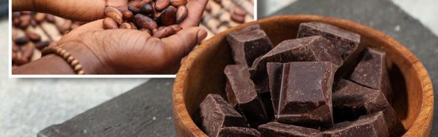 Kakao gubi cenu: Šta se dešava sa tržištem?