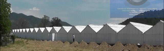 OO NPS Vranjska Banja: „Simpo Cveće“ u (ne)milosti SNS ?