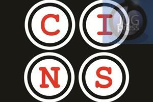 Na sudu i do 12 godina: Gde zapinju radni sporovi za mobing i diskriminaciju