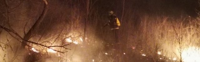 FRUŠKA GORA U DIMU I VATRI! Izbio požar u Nacionalnom parku, traži se osumnjičeni! (Video)