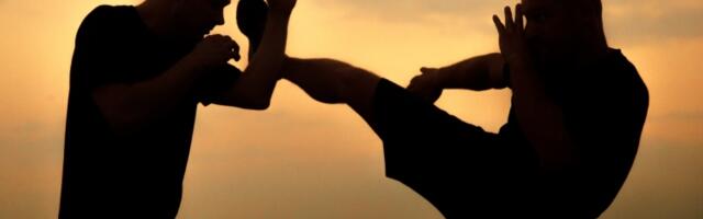 Najsmrtonosnija borilačka veština