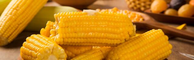 4 načina da skuvate kukuruz