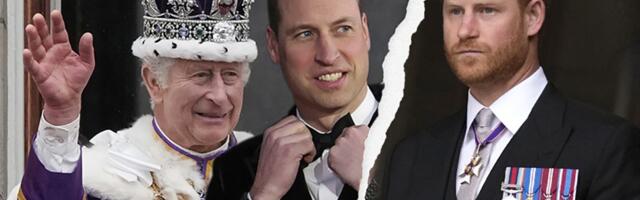 Princ Hari tera kralja Čarlsa da bira između Vilijama i njega? "Megan je pametna žena..."