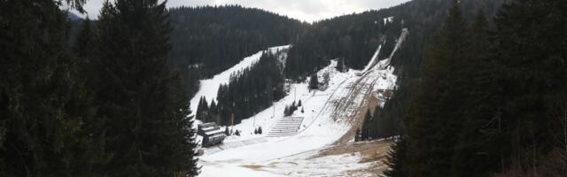 Retke zveri primećene na Šar-planini! Hodaju slobodno i bez straha, kamere zabeležile neverovatan snimak
