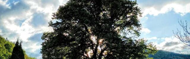 Trebalo je da zajedno u ovom manastiru srpski kralj i kraljica počivaju: Sudbina je ipak imala drugačiji plan