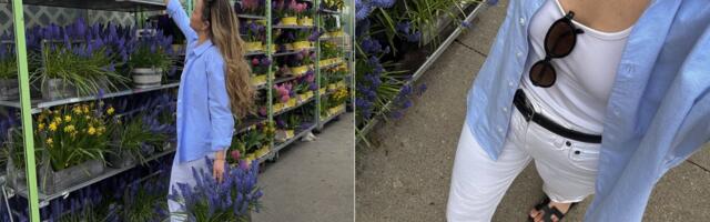 Ako imate terasu ili balkon, ovo cveće voli sunce više nego vi