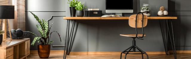 Biljke koje će preživeti na vašem radnom stolu