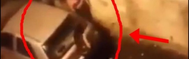 ČUČNULA JE IZA KOLA DA OBAVI NUŽDU, a onda doživela OVO - HIT SCENA ZASMEJALA SRBIJU! Kakav KOMŠILUK! (VIDEO)