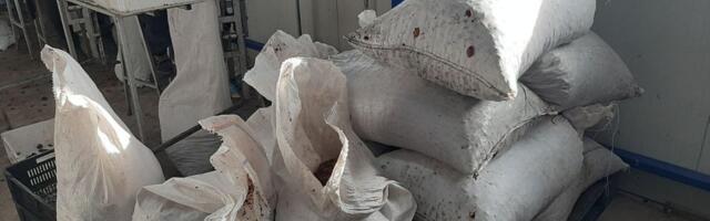 Za ovaj sezonski posao može da se zaradi 5.000 na dan: Nije naporno, a radi se u toplom