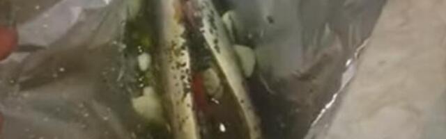 Hitno upozorenje za potrošače, proverite svoje frižidere! U skuši pronađena opasna supstanca, odmah je povučena