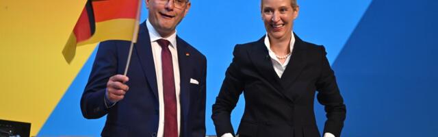 Delegati AfD ponovo izabrali dosadašnje kopredsednike stranke Vajdel i Hrupalu