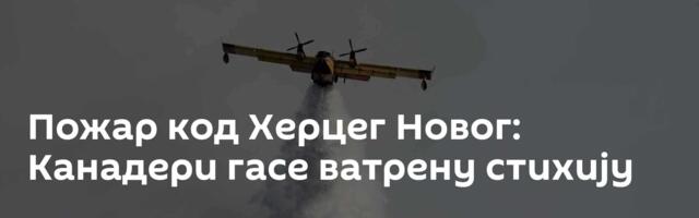 Пожар код Херцег Новог: Канадери гасе ватрену стихију