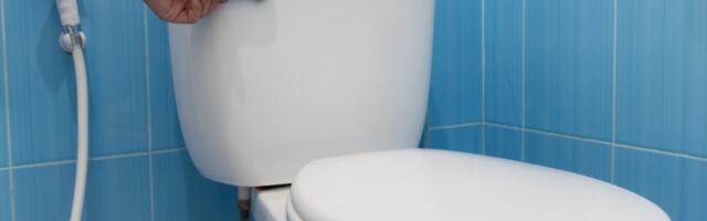 Ni sirće ni soda bikarbona! Ovo sredstvo najbolje uklanja kamenac u WC šolji (VIDEO)