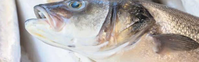 Календар посних слава повећао продају рибе