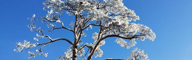 Počinje zima – danas najkraći dan u godini