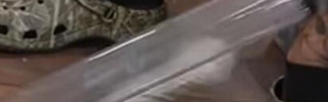 AKO VIDITE DA VAS OVA ZMIJA NAPADA, VEĆ JE KASNO Na snimku se tačno vidi kako je OPASNA: Niko NEMA ŠANSU PROTIV NJE