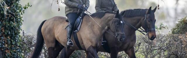 Bivšem princu Endrjuu kraljevska porodica zabranila omiljeni hobi: Ne žele da ga bilo ko vidi nasmejanog